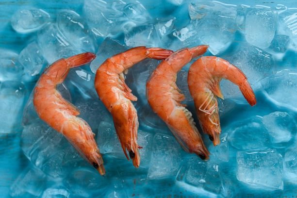 Buy Bulk Shrimp – Frozen & Fresh | Global Exporter